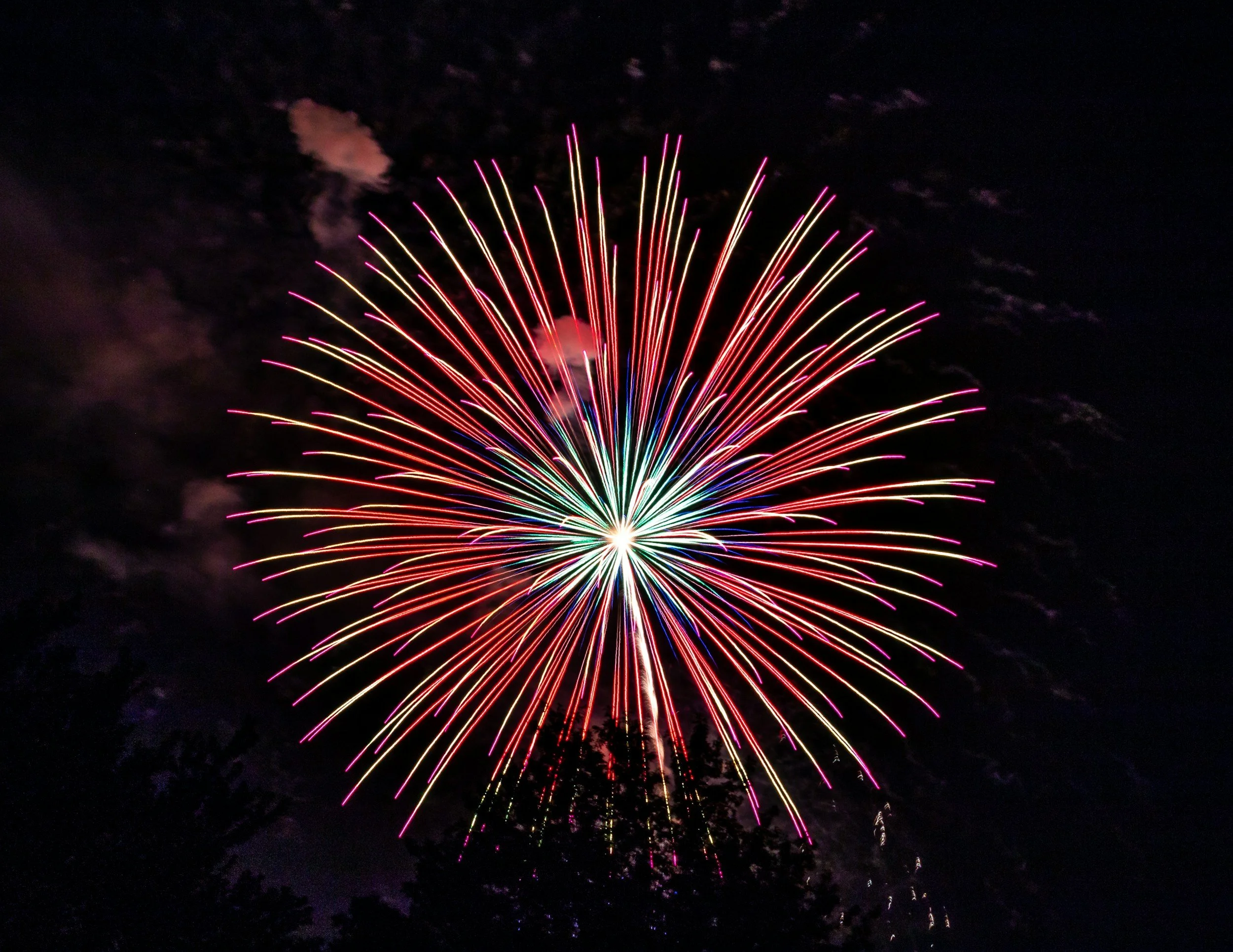 Independence Day BBQ and Party