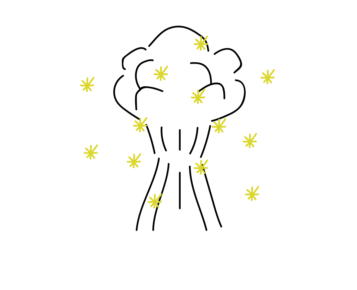 iWorkMagicDaily Productions