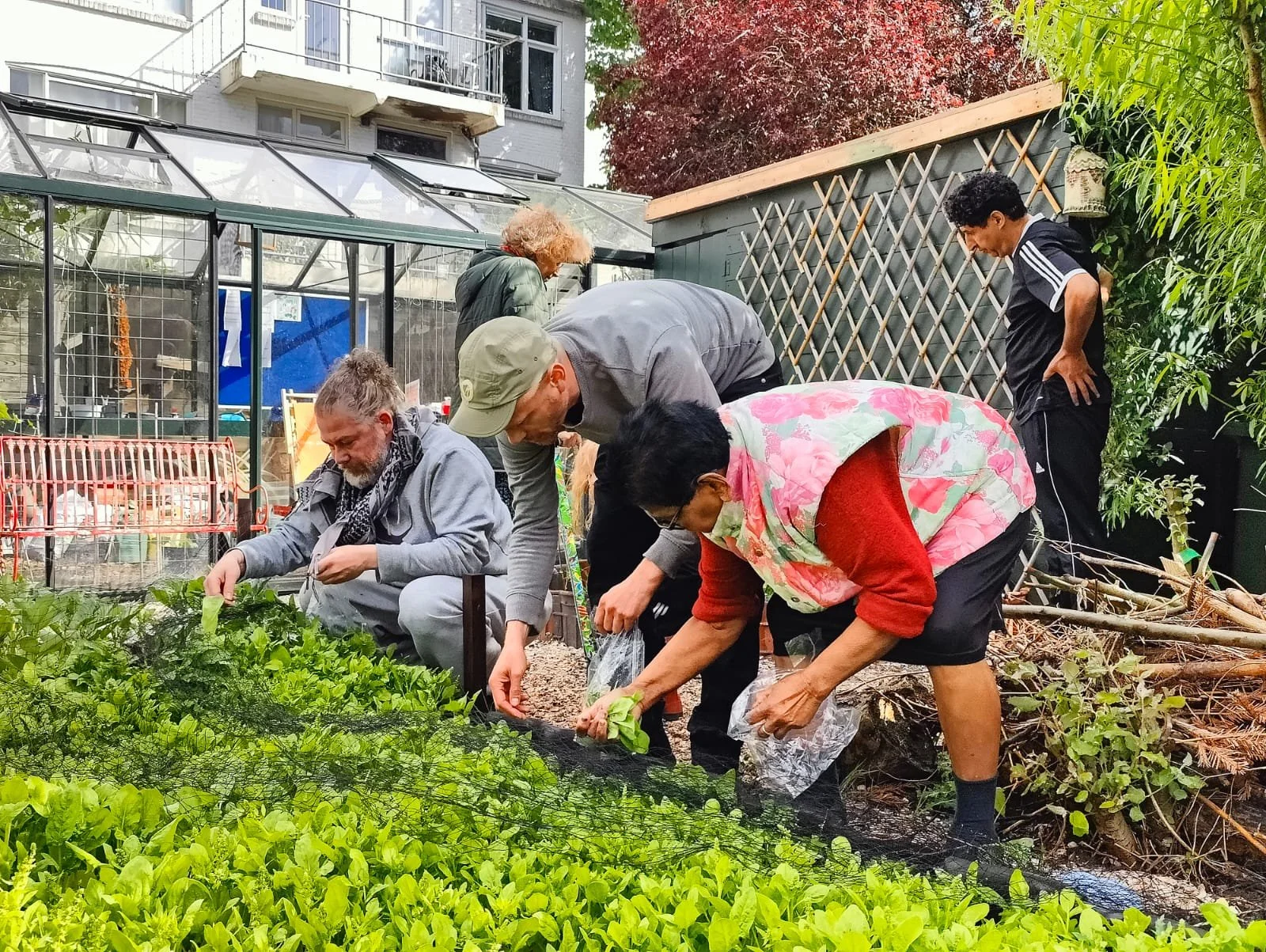 Buurttuin: Tuinieren &amp; klussen 