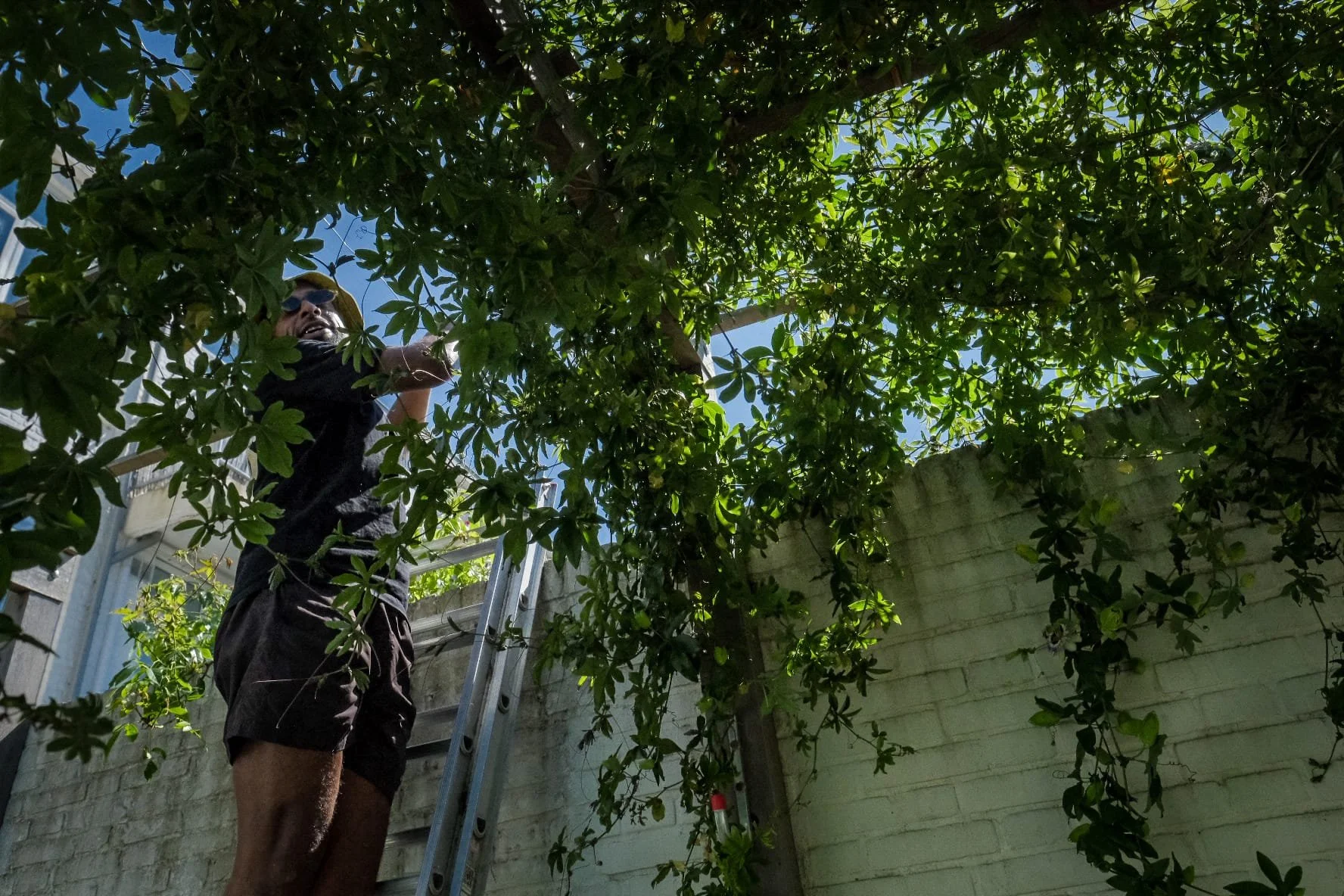 Buurttuin Zusterstraat