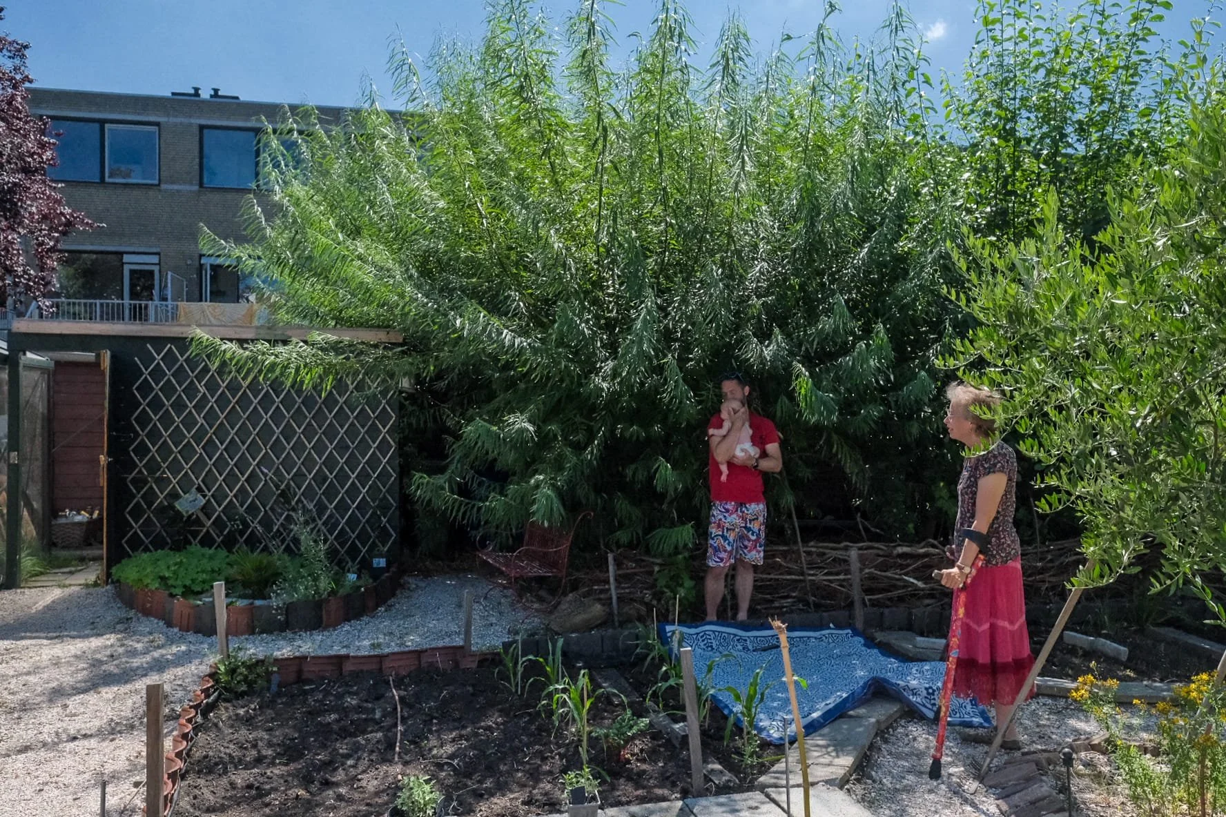 Buurttuin: Tuinieren &amp; klussen 
