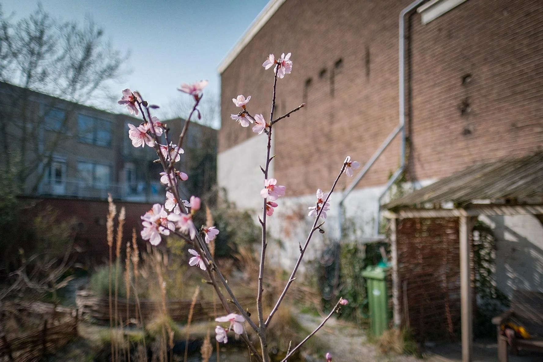 Buurttuin: Tuinieren &amp; klussen 