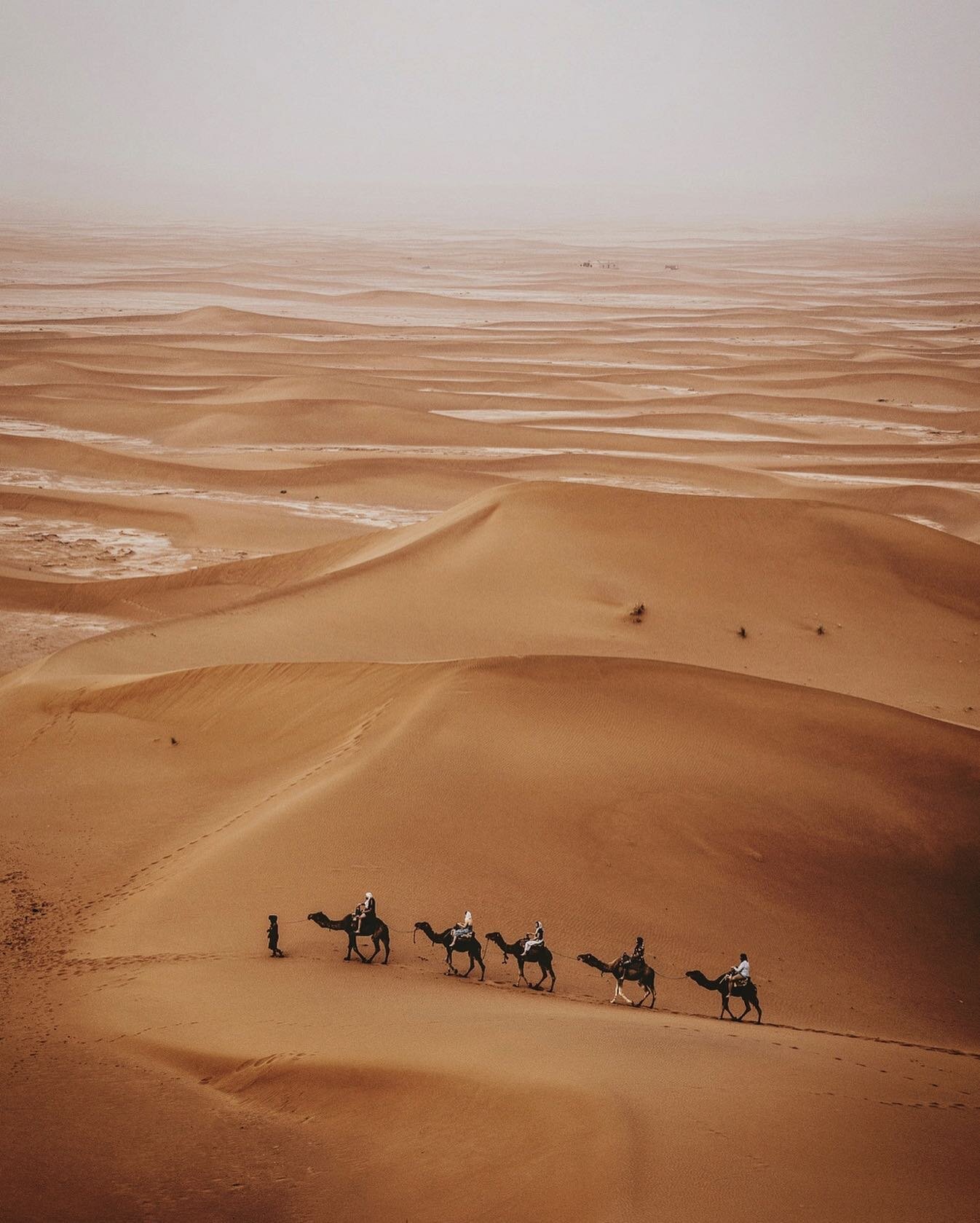 Intemporel le Sahara&hellip; 
Timeless the Sahara&hellip;
@terresdaventure 
#maroc
#morocco