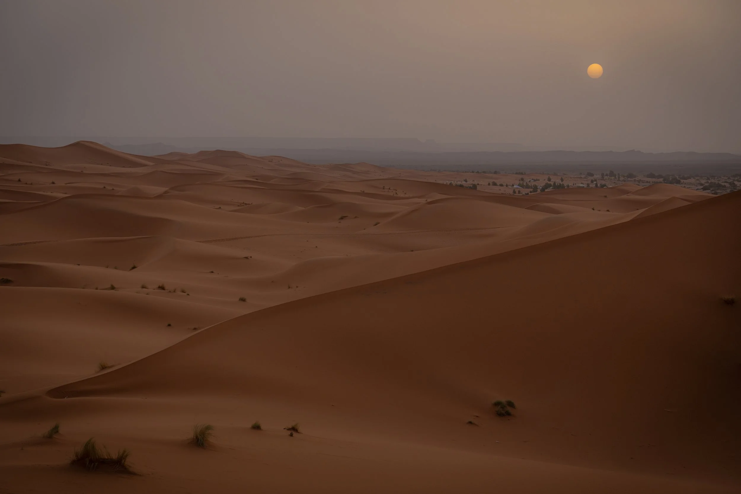Morocco2026-63.jpg