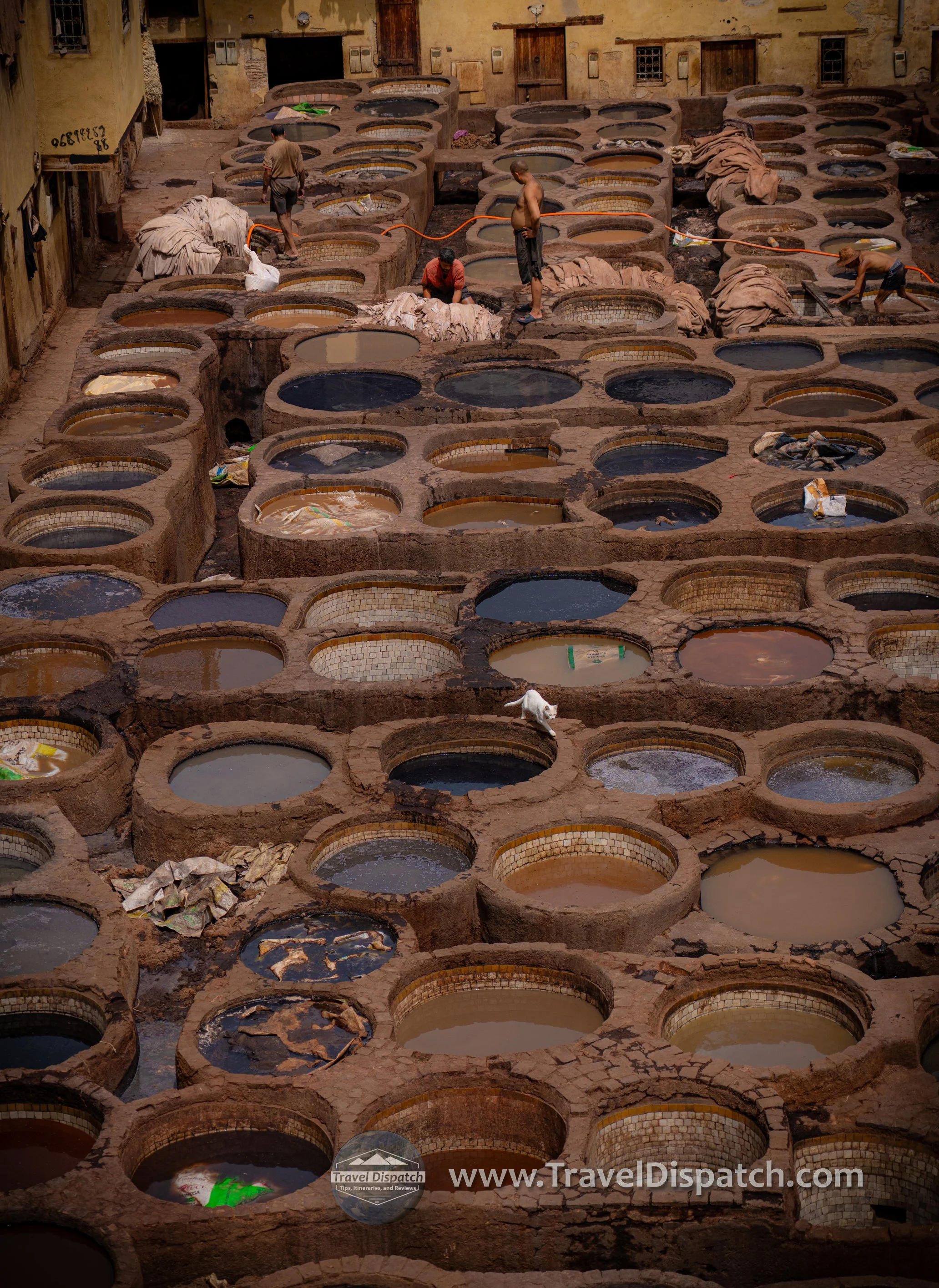 Morocco2026-102.jpg