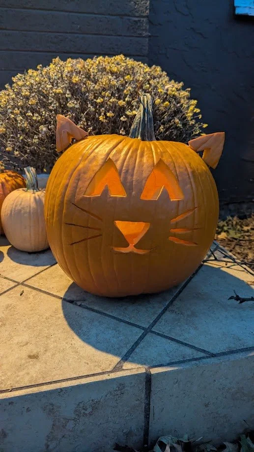 Cat O' Lantern