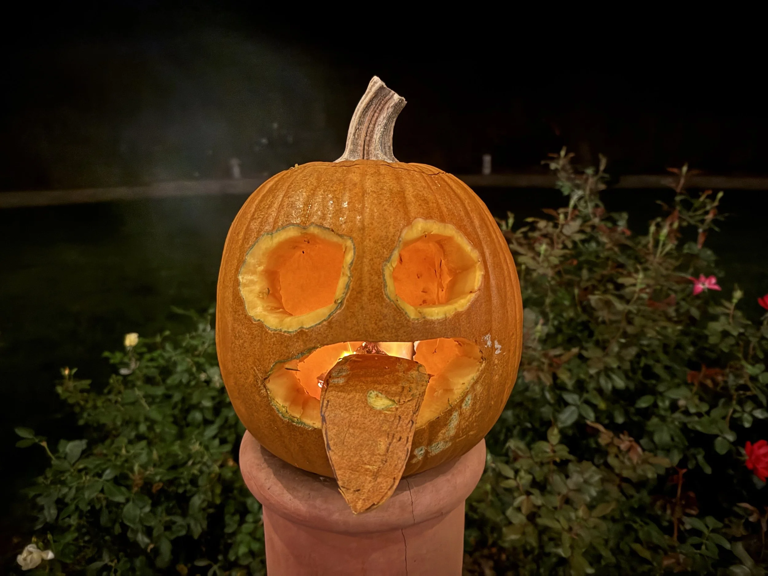Pumpkin of the "Knight"