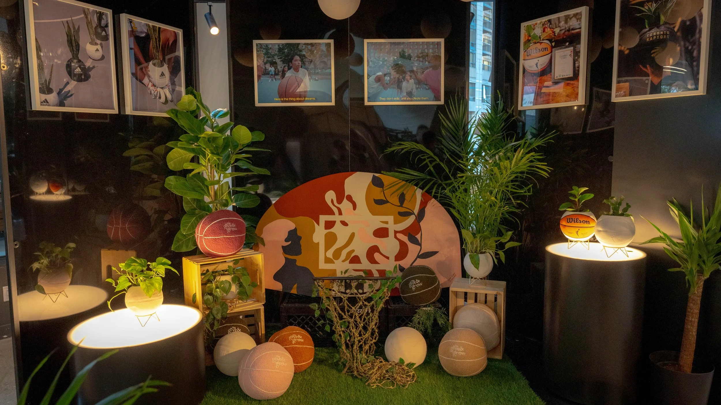 Indoor display with various potted plants, framed photographs, and decorative balls illuminated on black and white surfaces, with a backdrop of a dark wall and window showing city buildings.