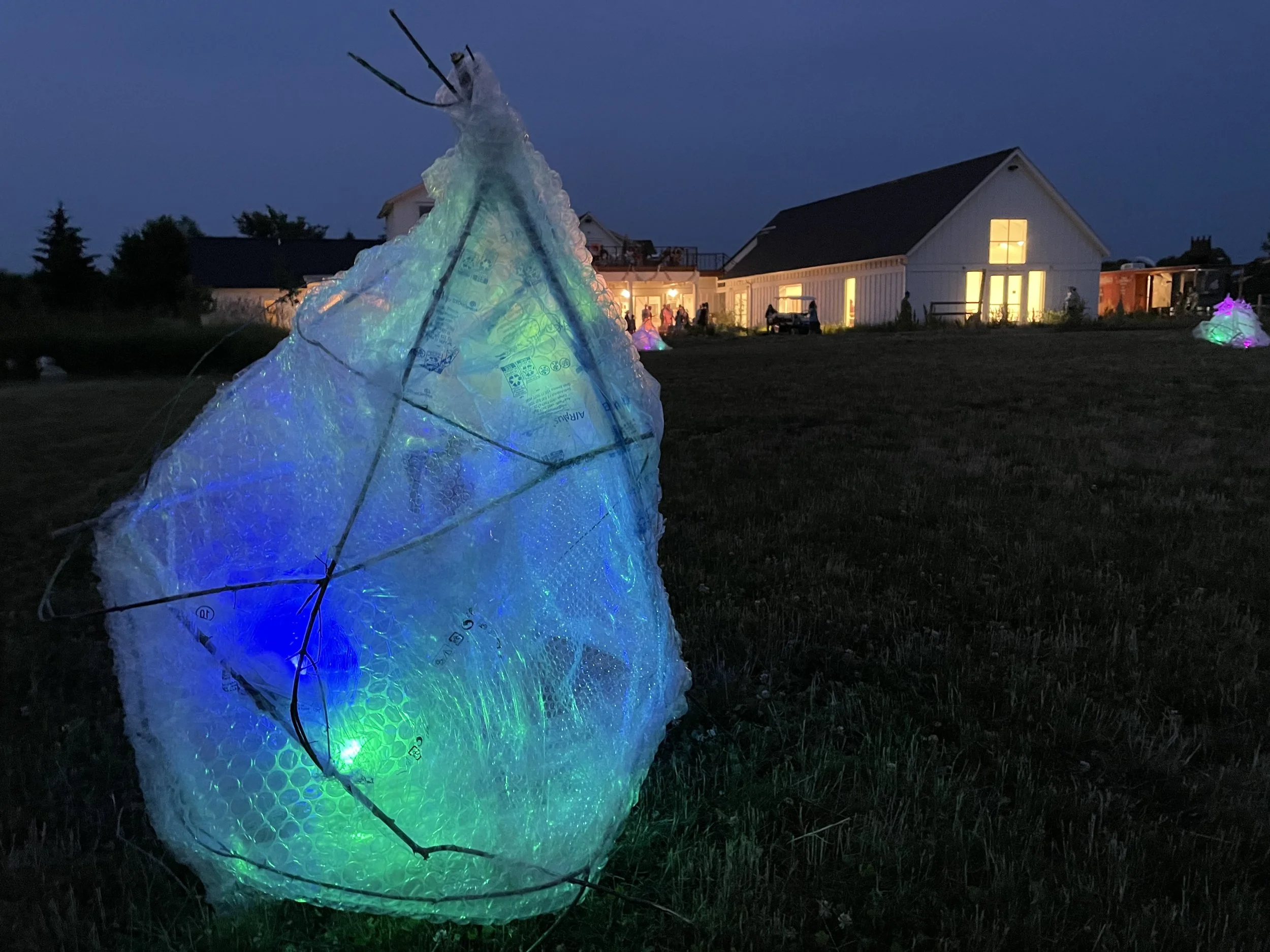 Wayfinding_Illuminated Invasive Lanterns_Franconia_2023.JPG