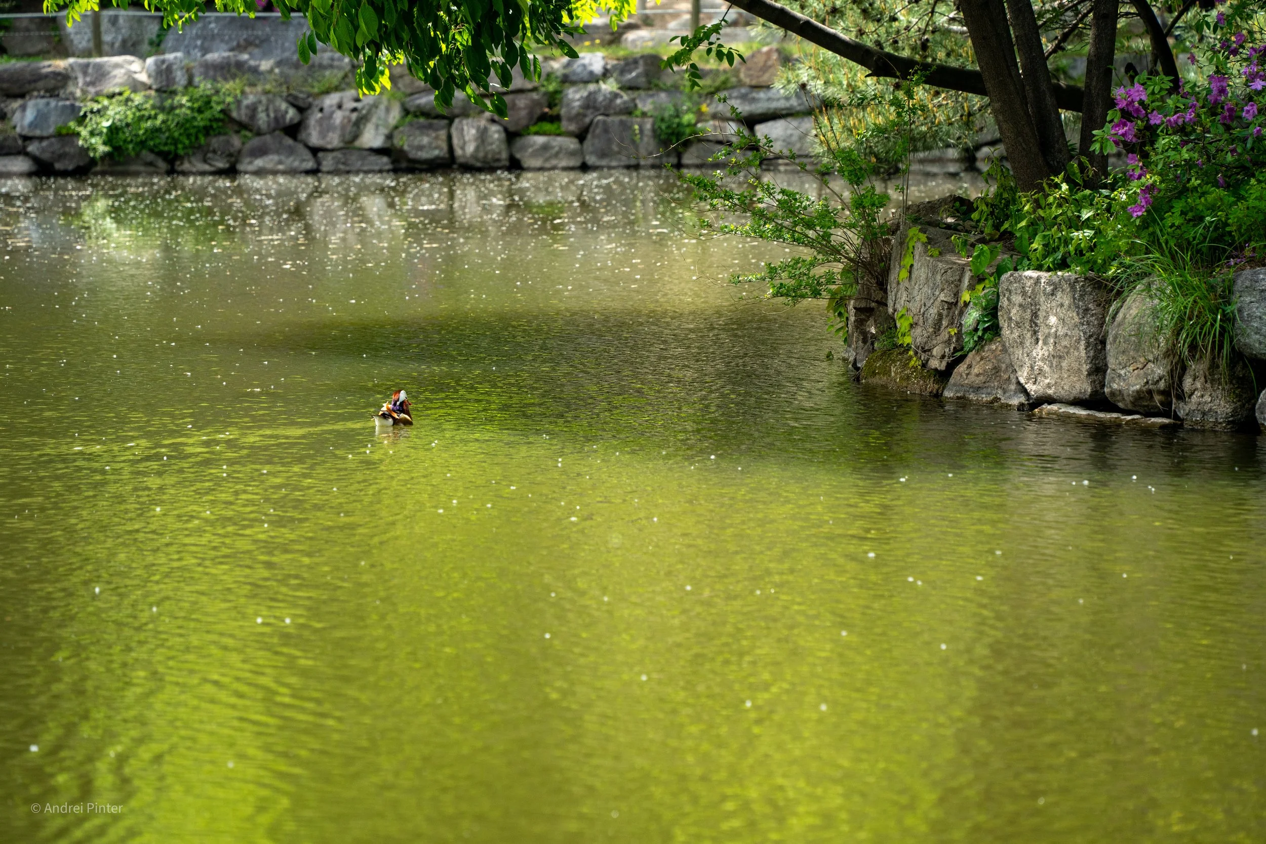 20240425-_DSC2064.jpg