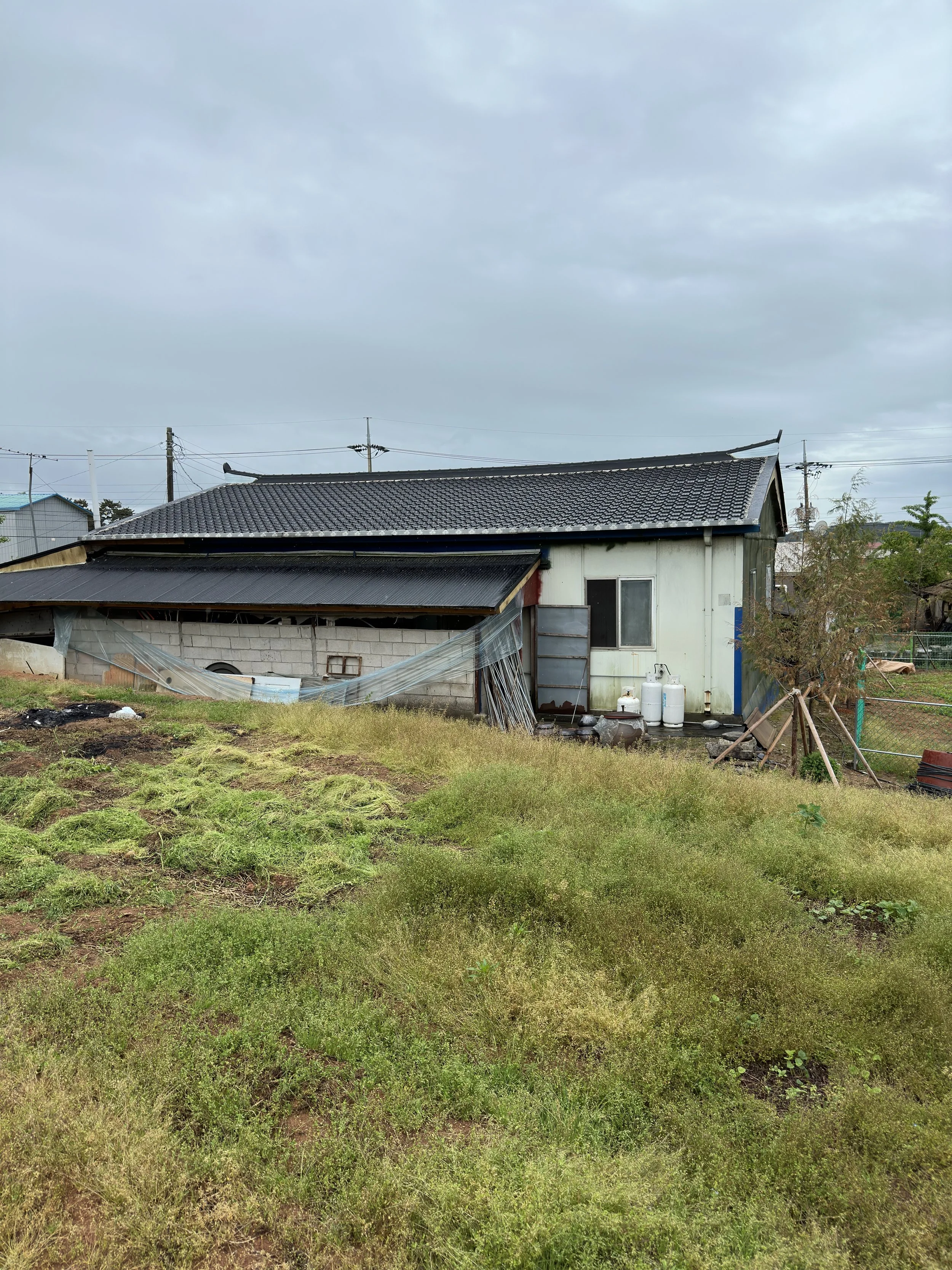 IMG_4049.jpeg