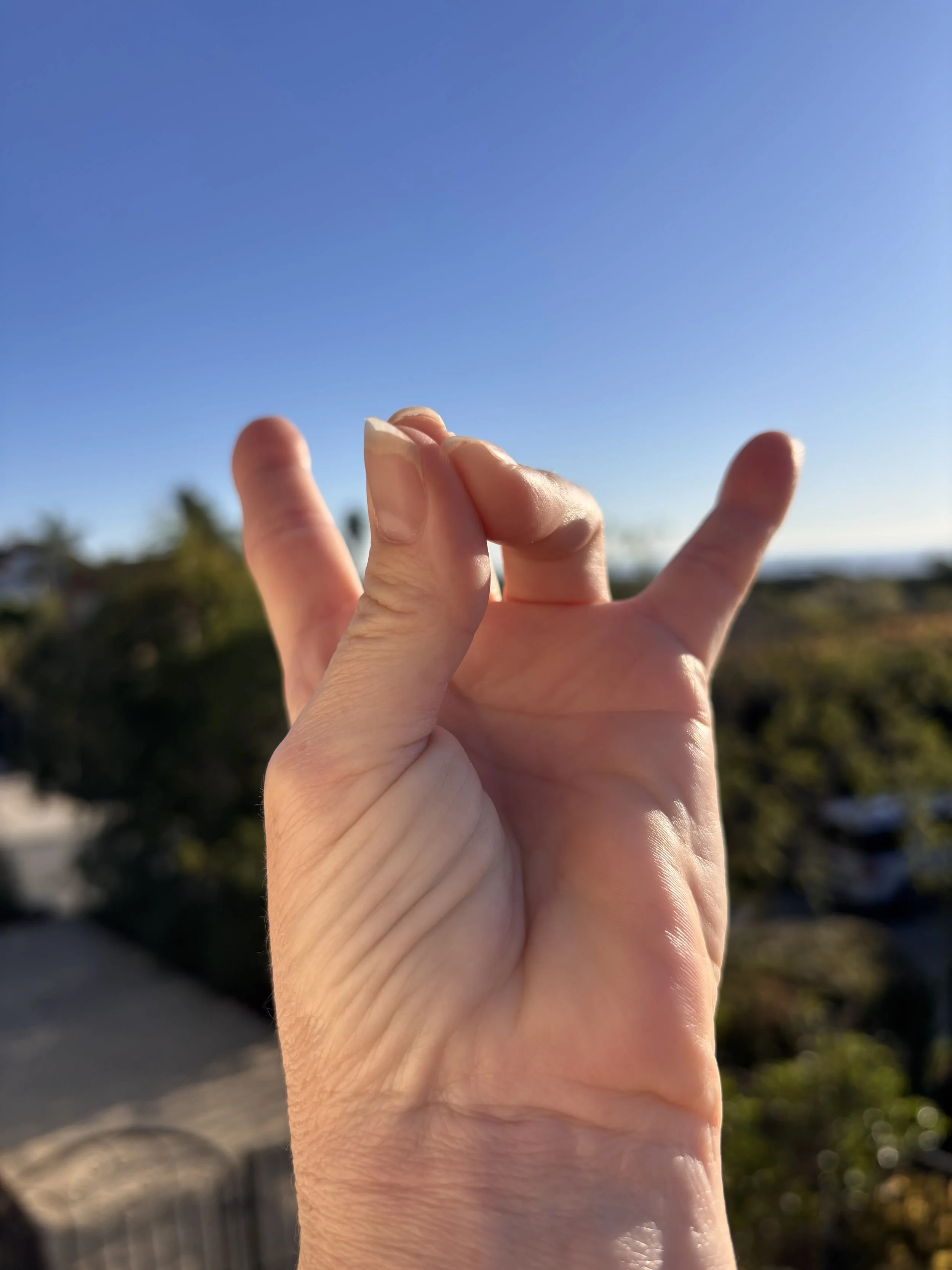 yoga for the hands, also known as mudras
