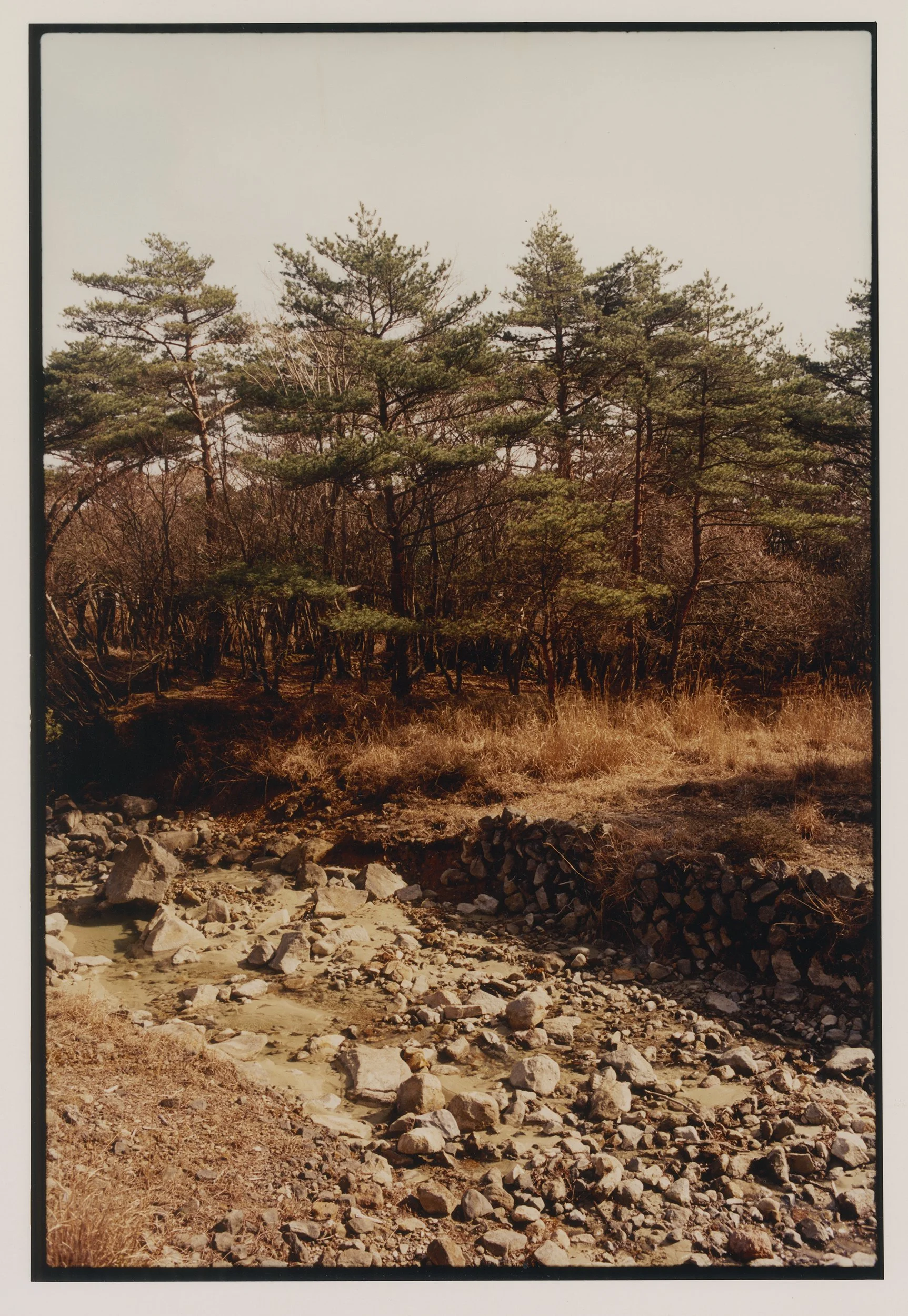 green river_result.jpg