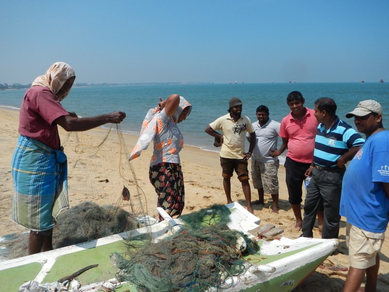 Sri Lanka to Europe, in search of delicious food