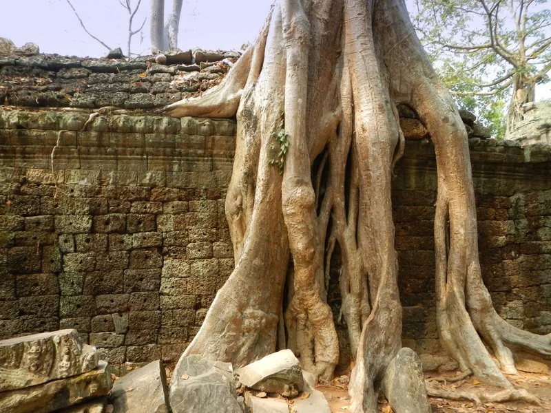SiemReap4.jpg