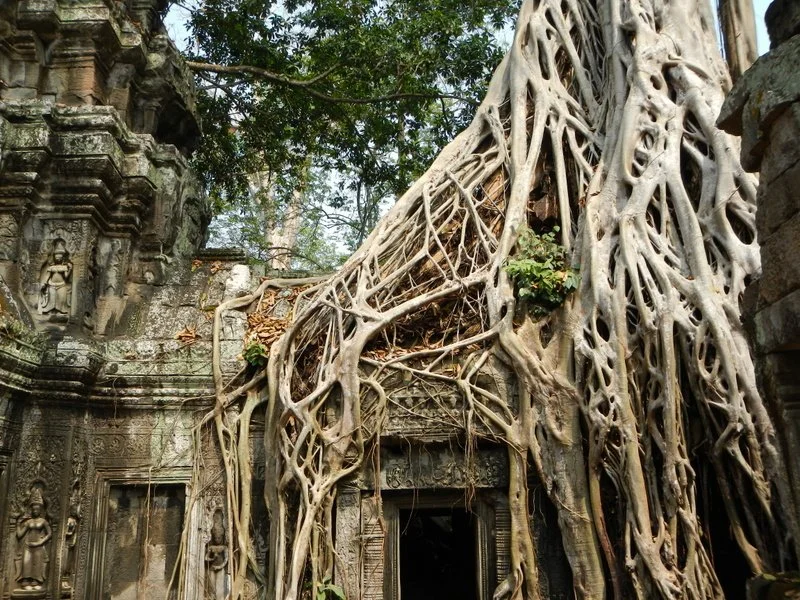 SiemReap6.jpg