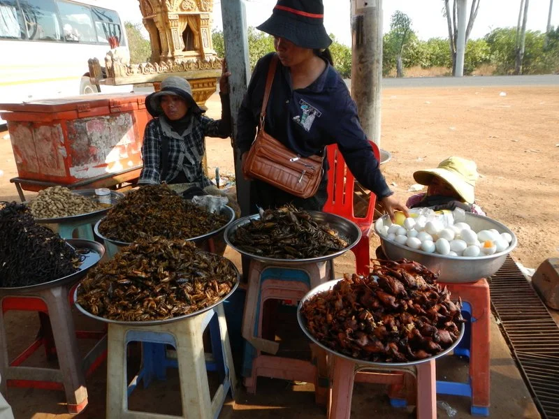Laotian Paradise3.jpg