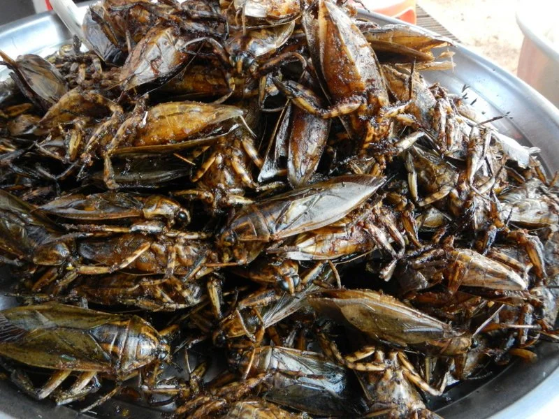 Laotian Paradise 1.jpg