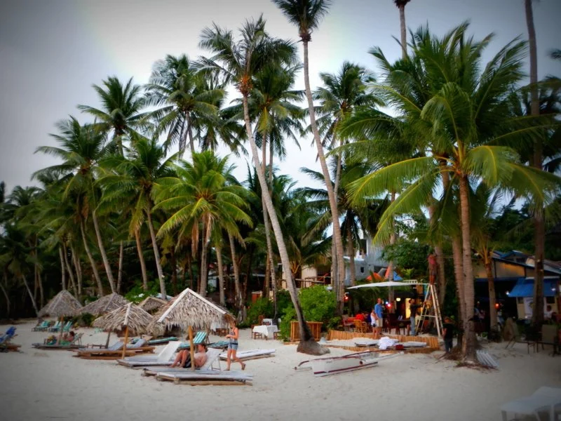 The dive shop is the little blue roof behind those lovely palms