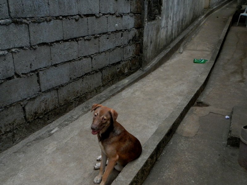Image212.jpg