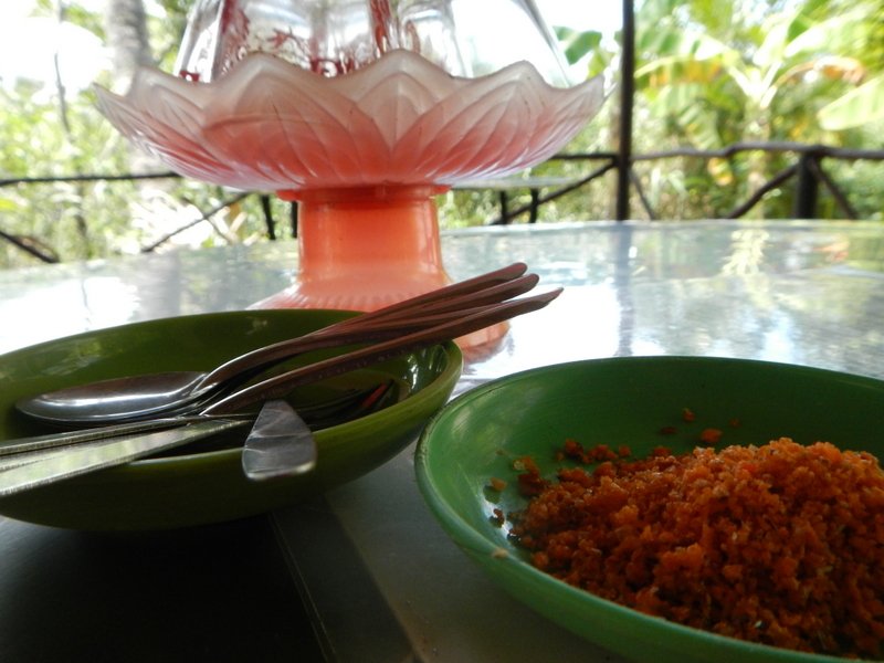 1-DSCN7220.jpg