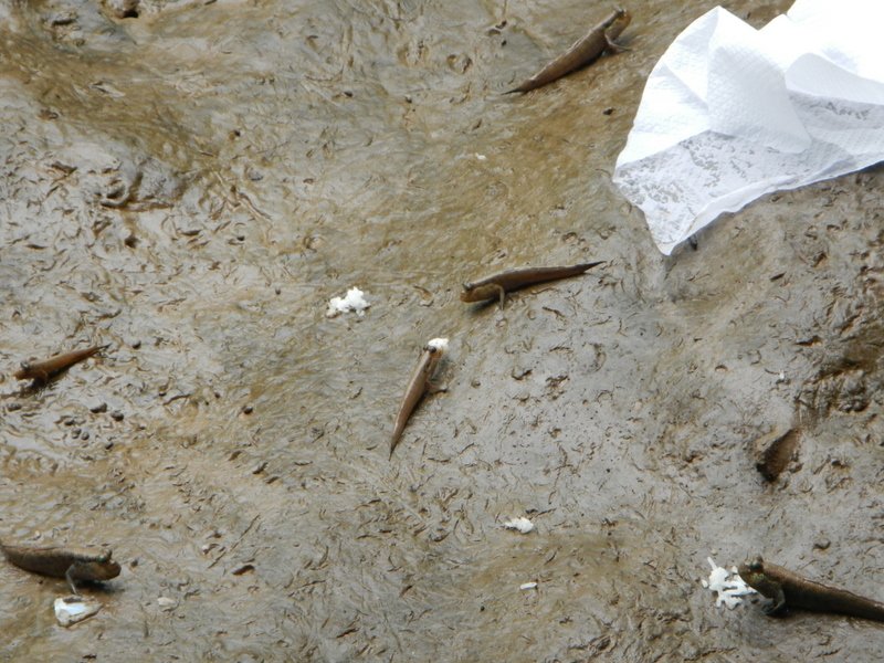 1-DSCN7289.jpg