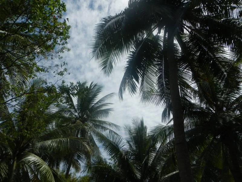 1-DSCN7299.jpg