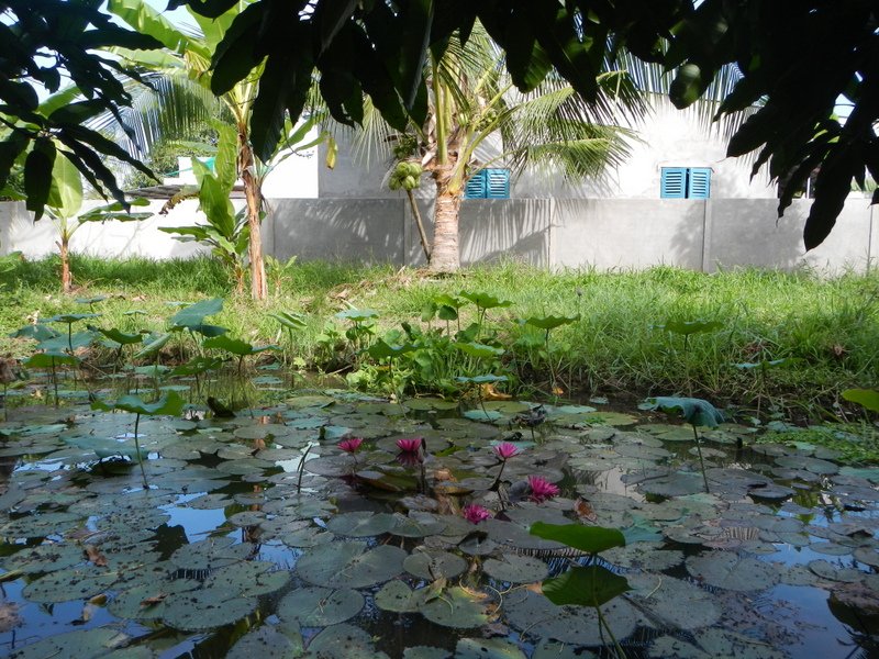 1-DSCN7395.jpg