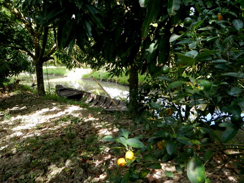 1-DSCN7409.jpg