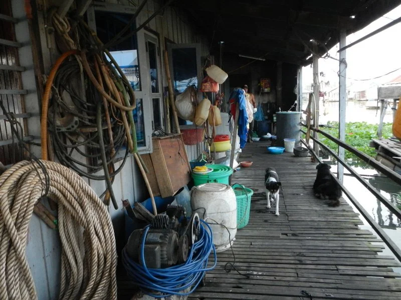 1-DSCN7554.jpg