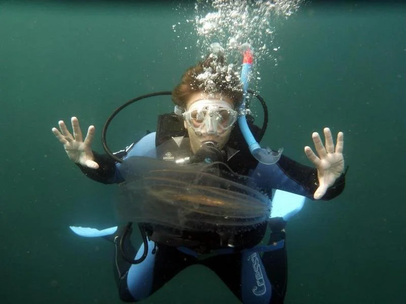 Trouble with Jellies