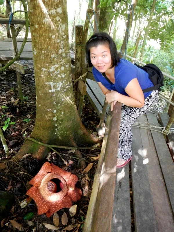 Fiona, next to the Rafflesia