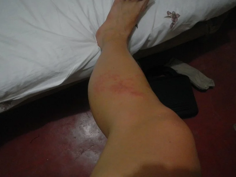 1-DSCN6929.jpg