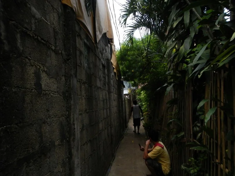 The path to my home
