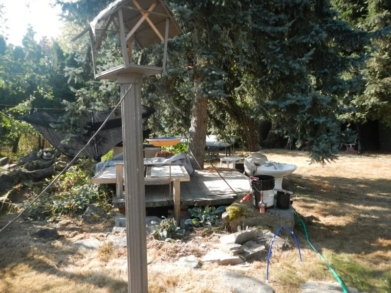 1-DSCN1870 (1).jpg
