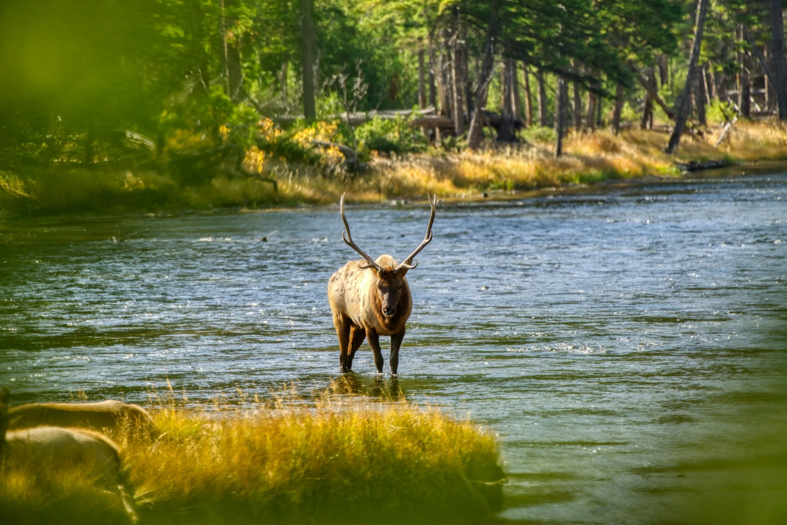 National parks