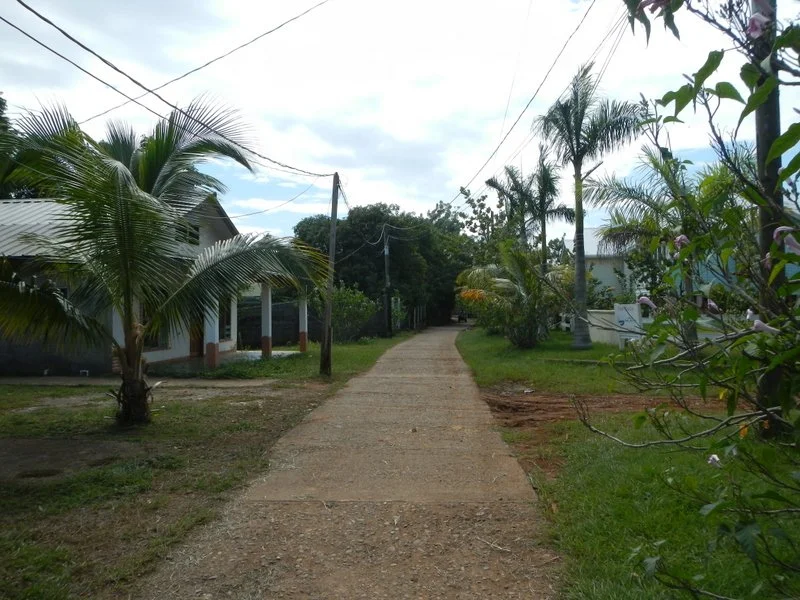 Road To my House