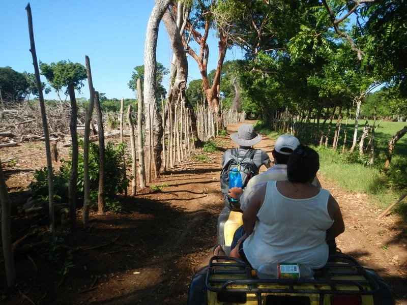 Ride to Pumpkin Hill