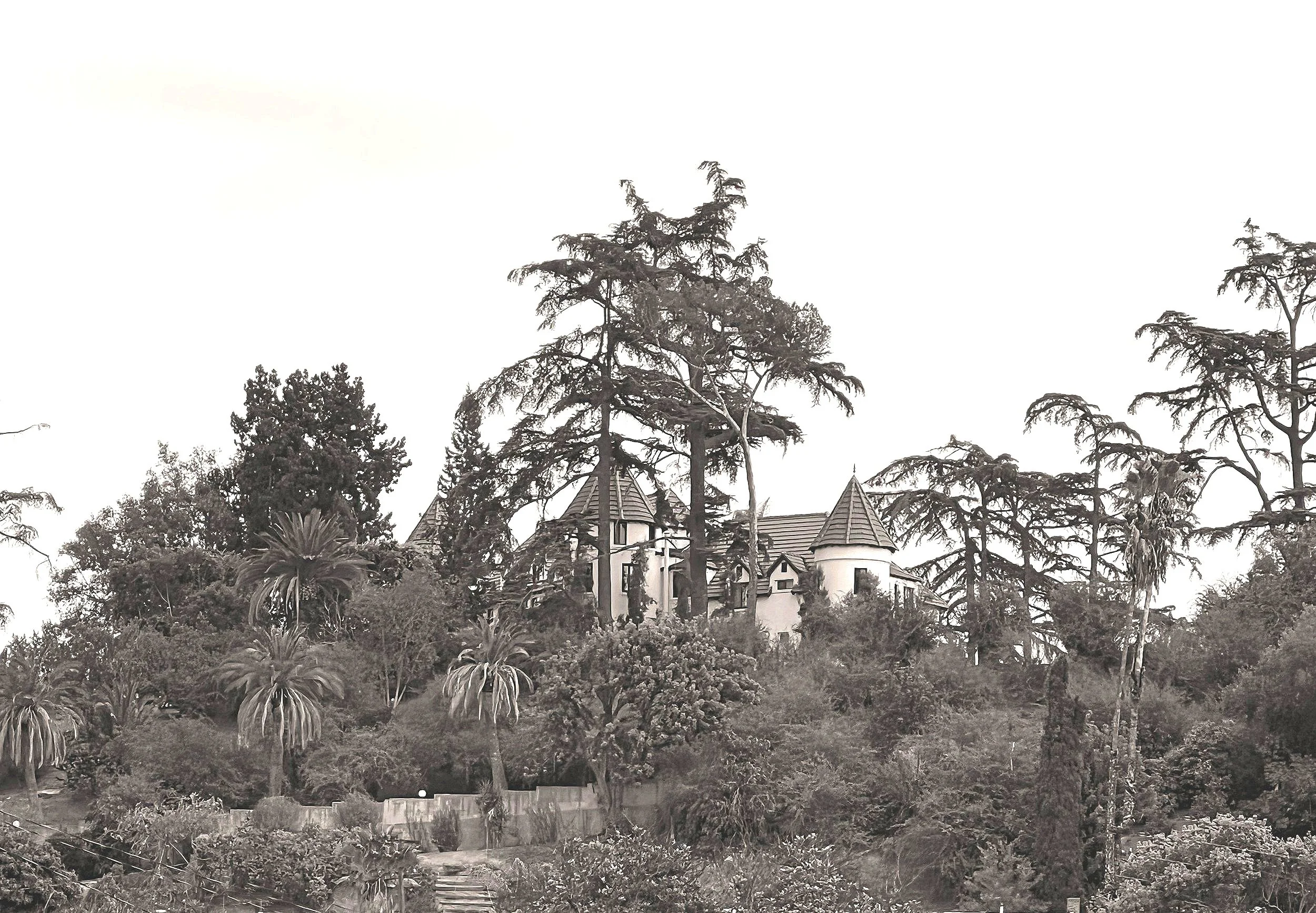 Wrensmoor distance pic website landing B&W.jpg