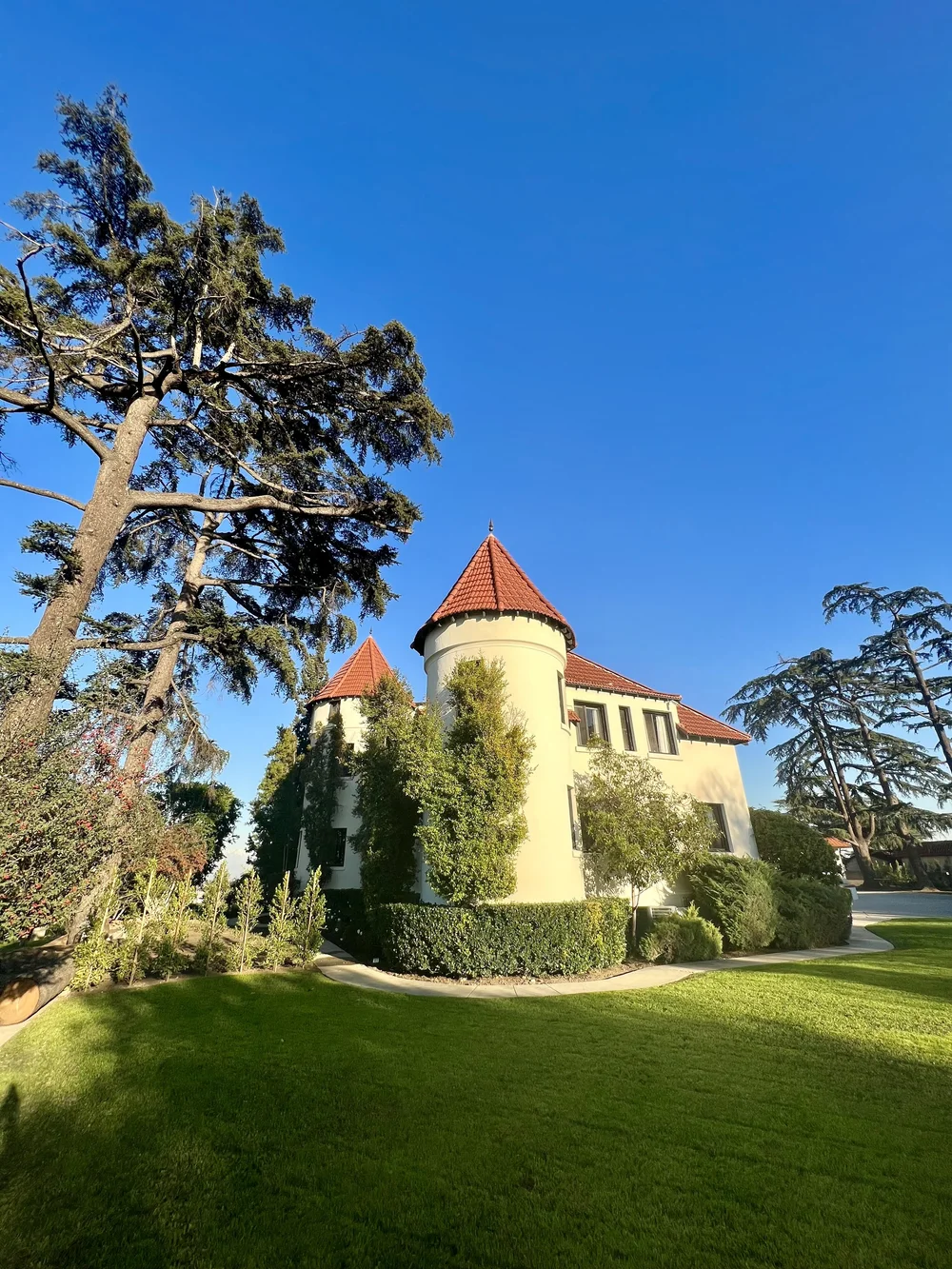 Wrensmoor Castle Gallery of Photos — Wrensmoor Castle