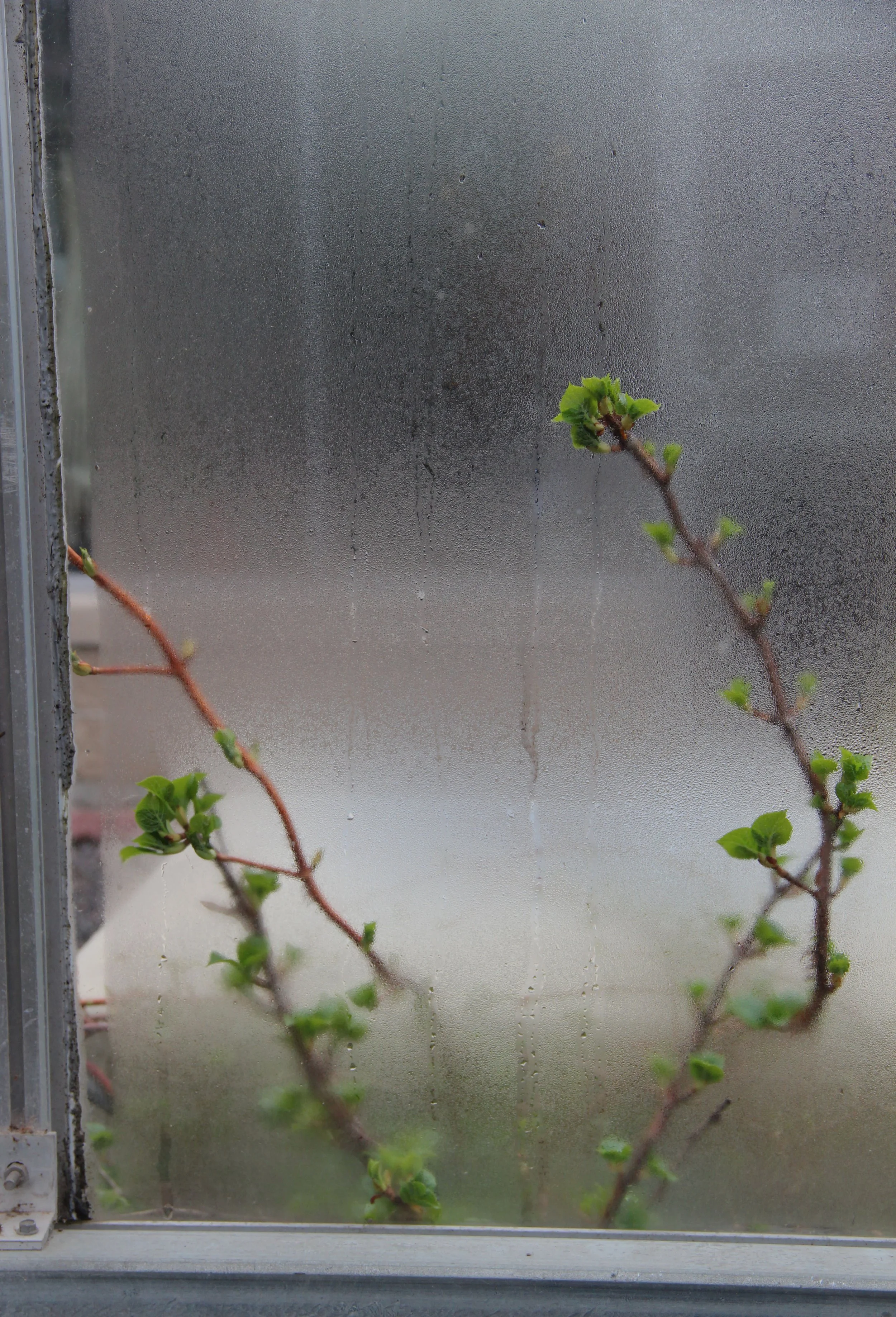 Geisz_Beaubien06 copy.jpg