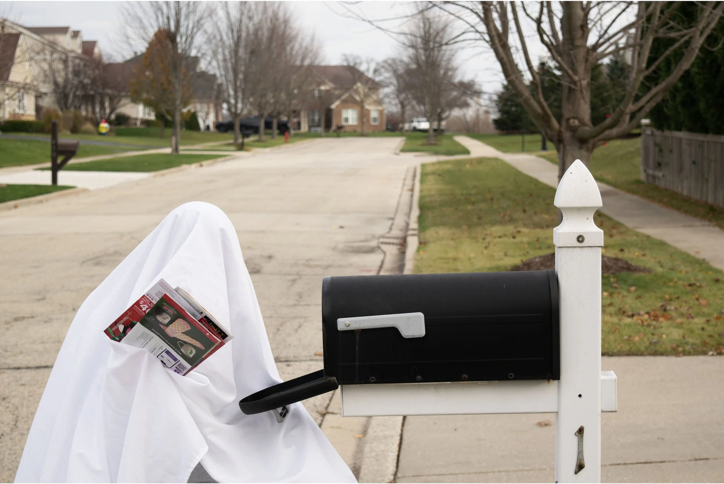 Gabrielle Hayes 2024