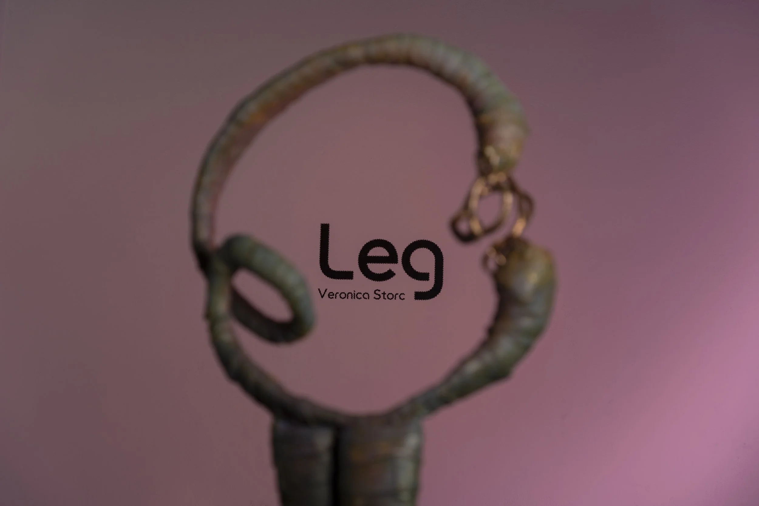 Work by Veronica Storc