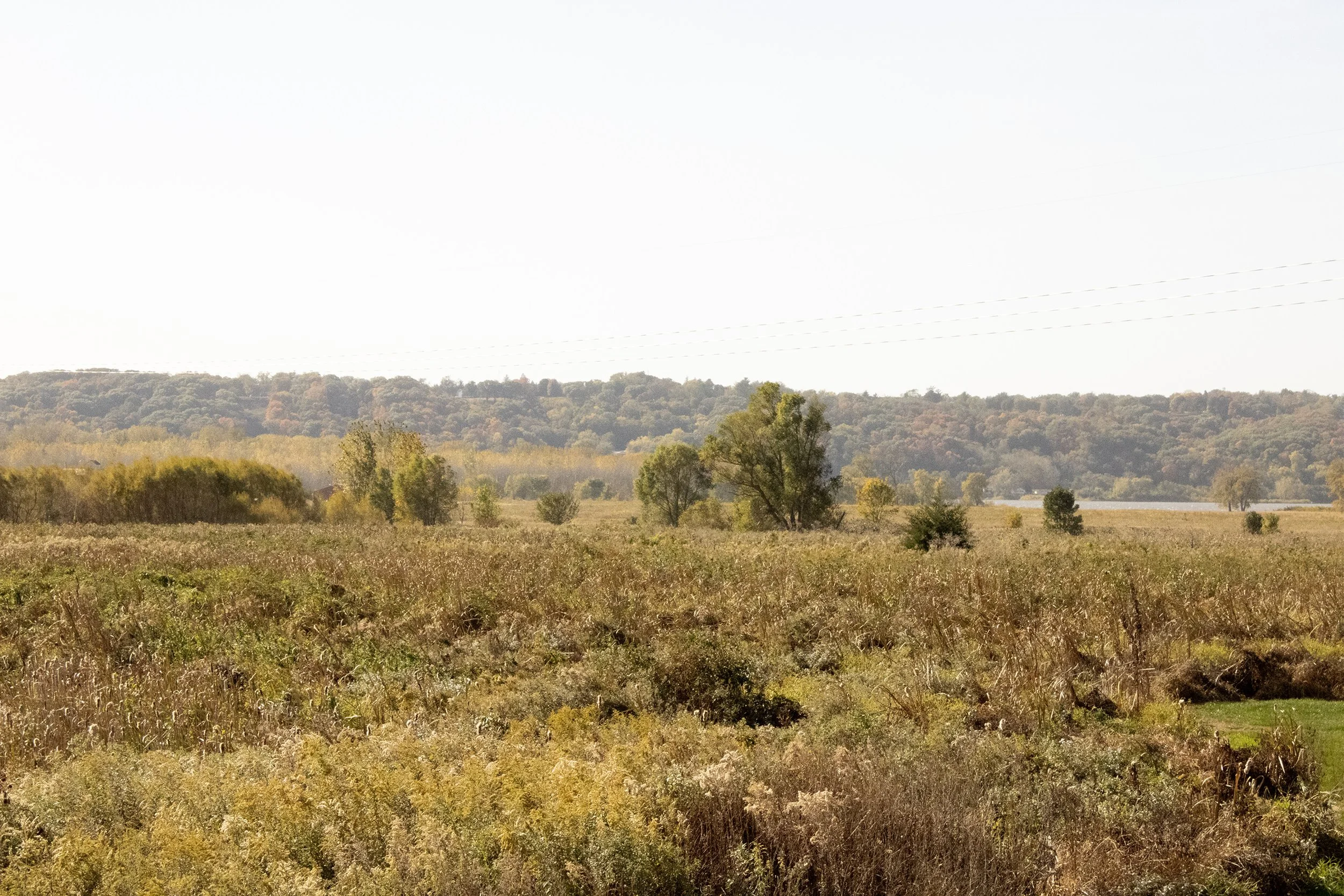 Colman Kennedy, 2024