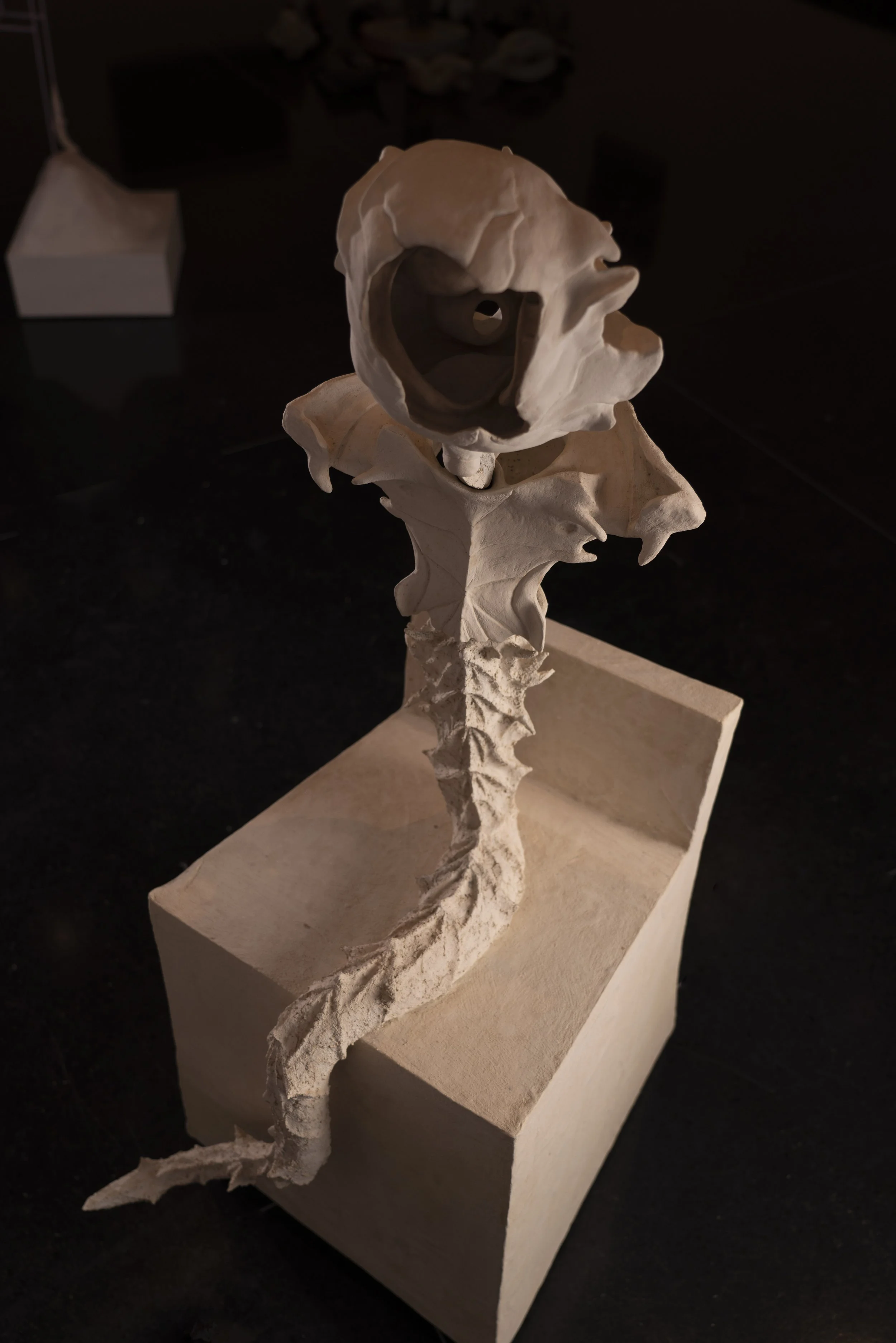 Work by Veronica Storc