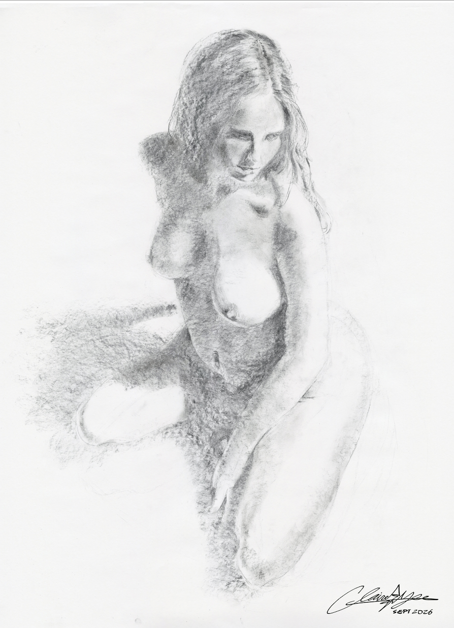 charcoal 24x18"
