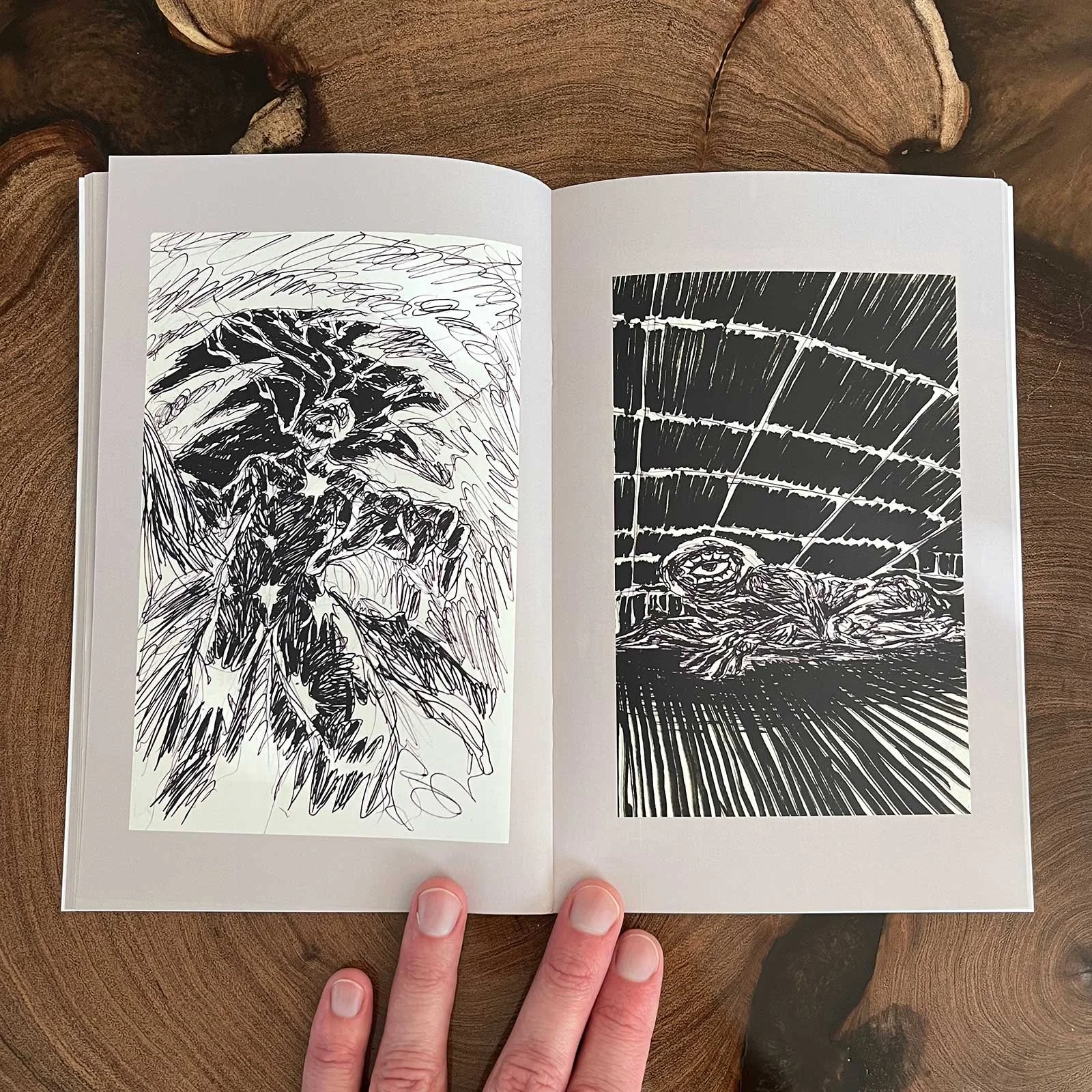 Excerpt from "ECHOES OF EMOTION FROM DREAMS LONG PAST" zine