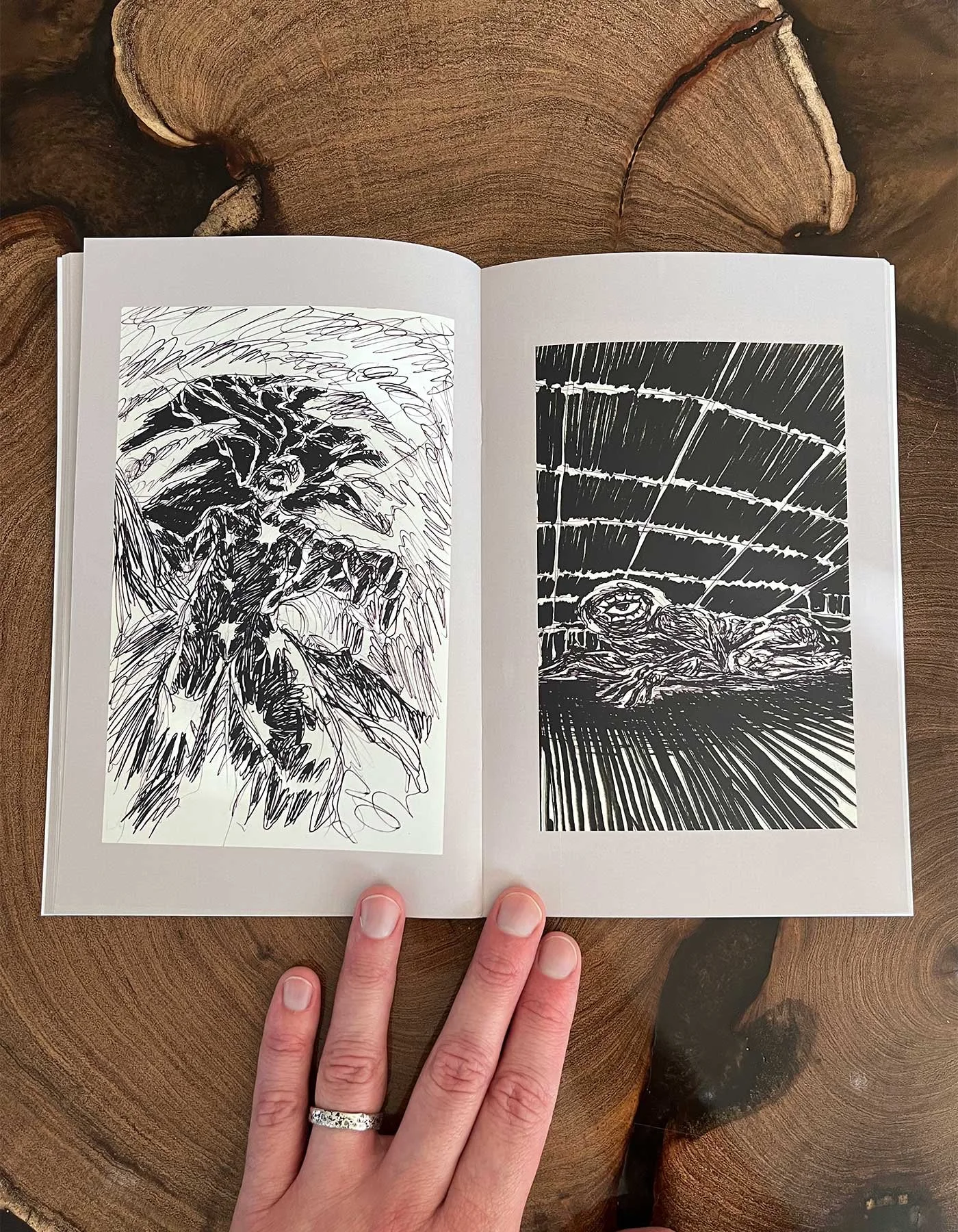 ds-embree_esoteric-artist-illustrator--portraits-zines-animal-portraits_zine_echoes-of-emotion-from-dreams_cyclops.jpg