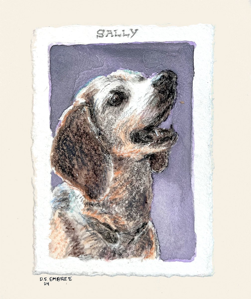 ds-embree_esoteric-artist-illustrator--portraits-zines-animal-portraits_cards-beagle_sally.jpg