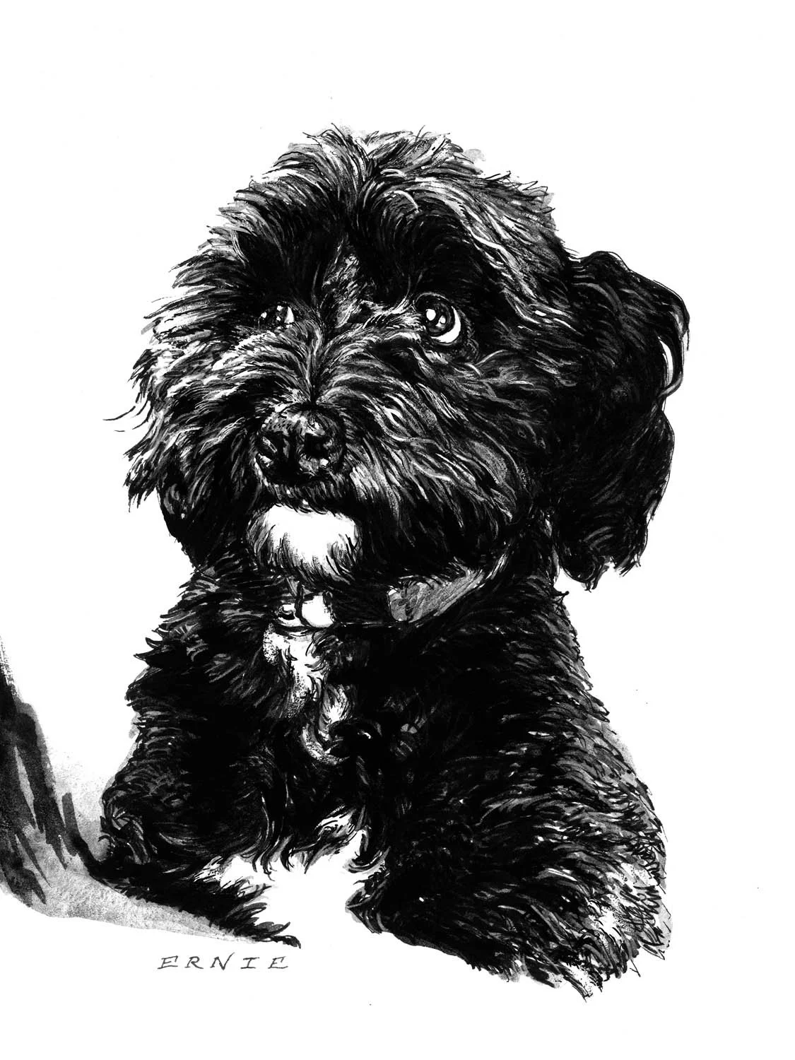 ds-embree_custom-portraits_ernie.jpg